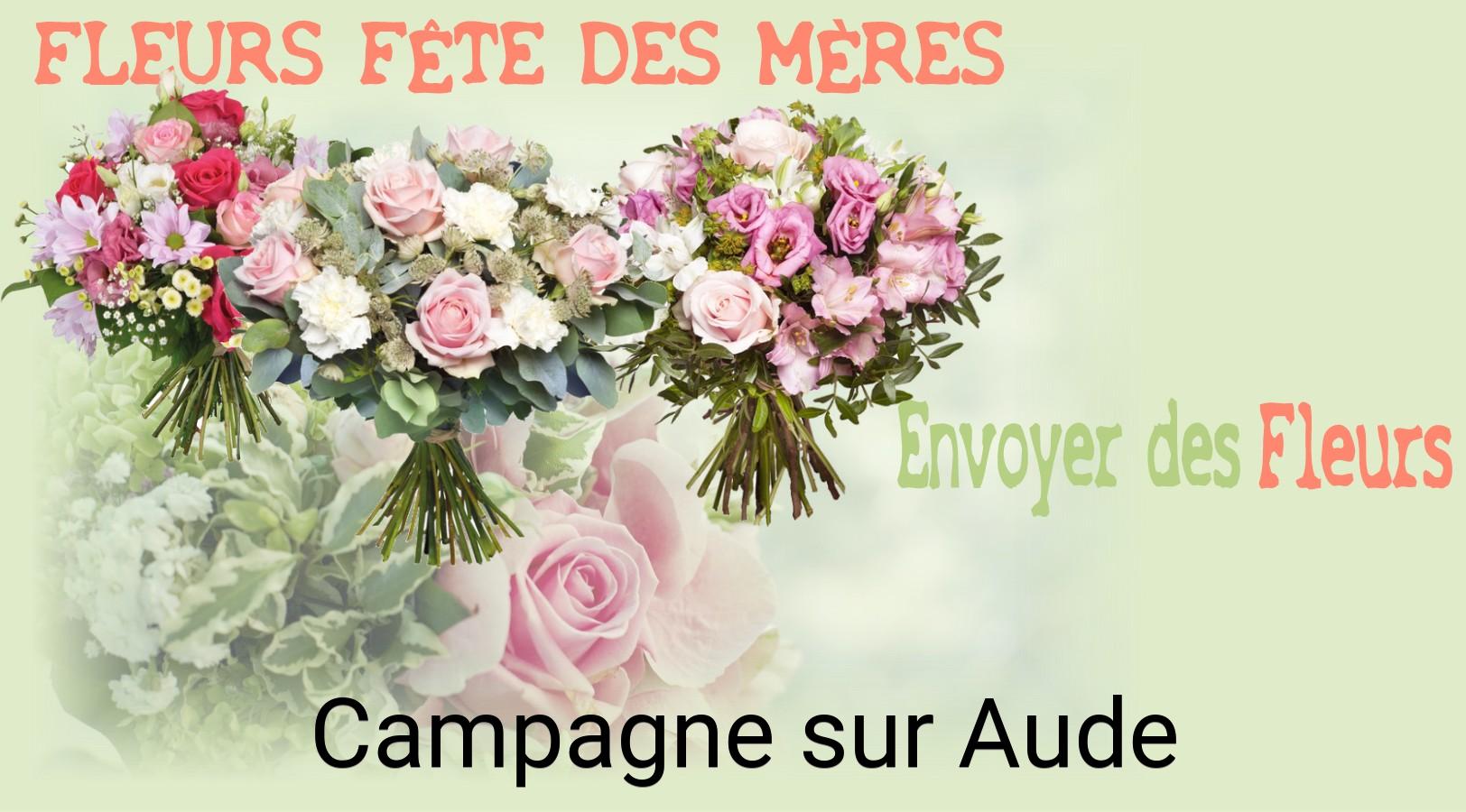 Bouquet de Fête des Mères livré à Campagne-sur-Aude